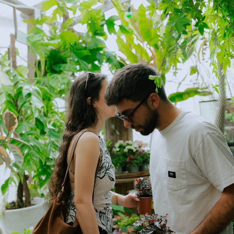 זוג בוחר צמח