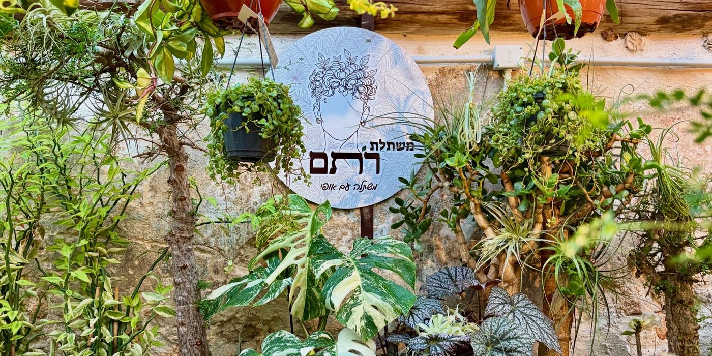 השלט של משתלת רתם על קיר אבן, מוקף בצמחים תלויים, מונסטרה מגוונת, בגוניות ופרחים